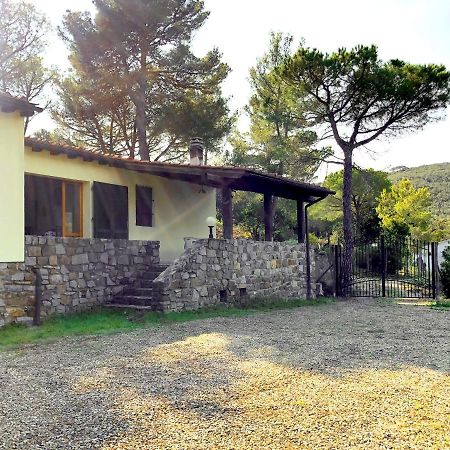 Elba Villa Colle - Nel Verde Ma Vicina Al Mare Marina di Campo Exterior foto